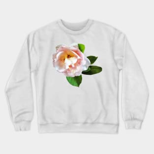 Pale Pink Camellia Crewneck Sweatshirt